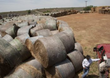 5 Stories About Rural Texas You May Have Missed in 2019