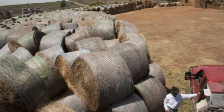 5 Stories About Rural Texas You May Have Missed in 2019