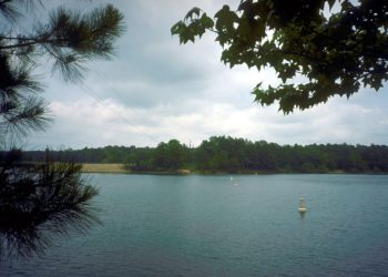 The EPA Faces Lawsuit Over Slaughterhouse Pollution in Waterways