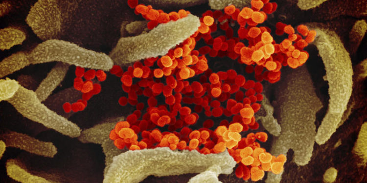 Dallas, Tarrant Counties Report Their First ‘Presumptive Positive’ Coronavirus Cases
