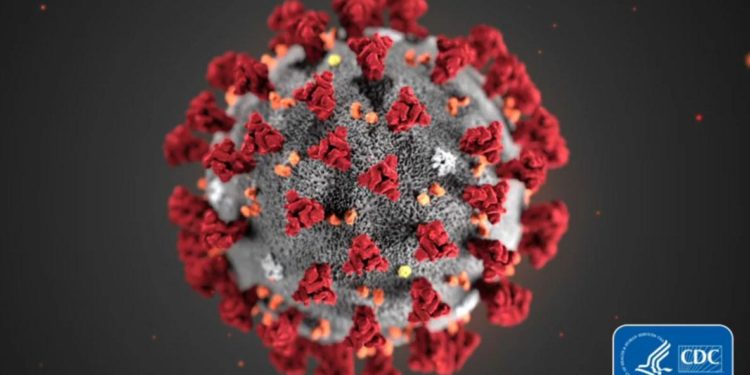 Houston-area man tests positive for coronavirus – News – Austin American-Statesman