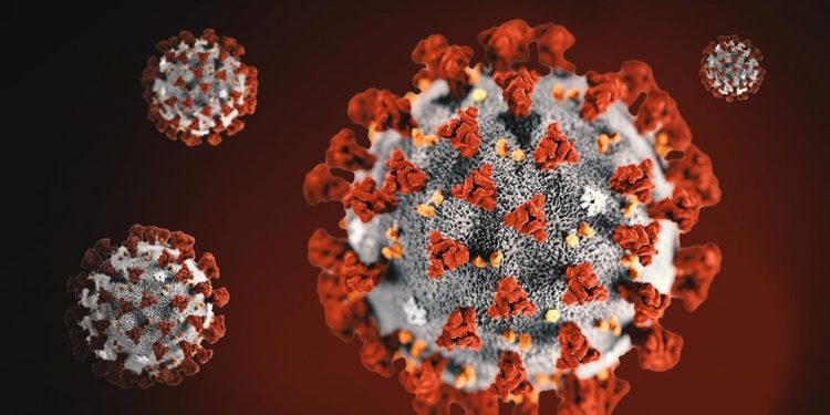 Matagorda County reports first coronavirus death in Texas – News – Austin American-Statesman