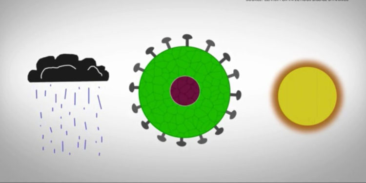 How summer temperatures could impact coronavirus