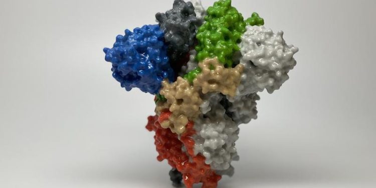 What Scientists Face When Developing A COVID-19 Vaccine