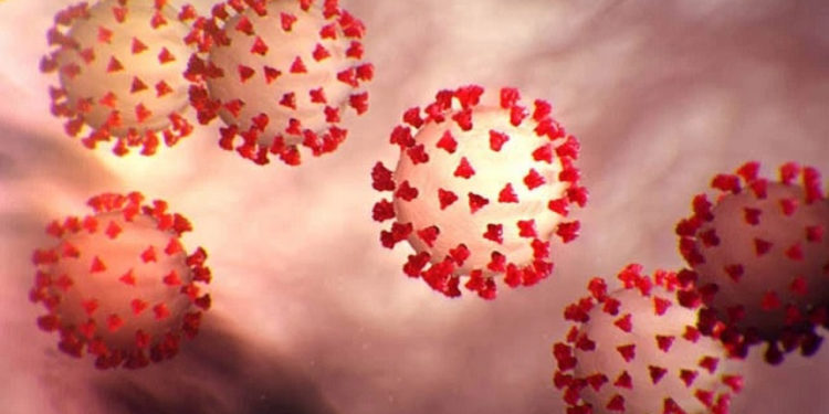 AISD will close all schools indefinitely due to COVID-19 pandemic