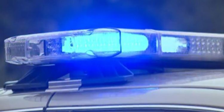 2 dead in crash on SH 71 frontage at SH 130