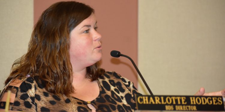 Lakeway in search of new Building and Development Services director – News – Austin American-Statesman