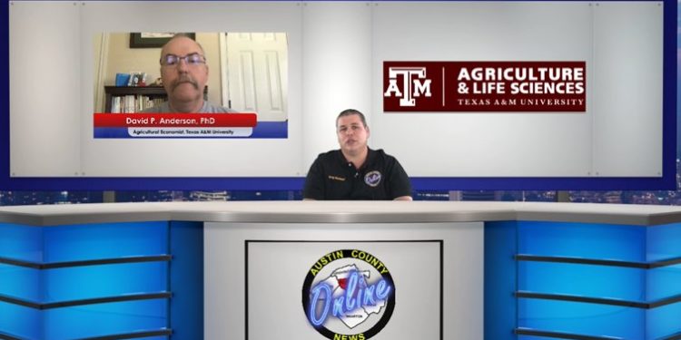 Higher Meat Prices as Cattle Producers See Lower Prices, Texas A&M’s Dr. David Anderson Tells Us Why [VIDEO]