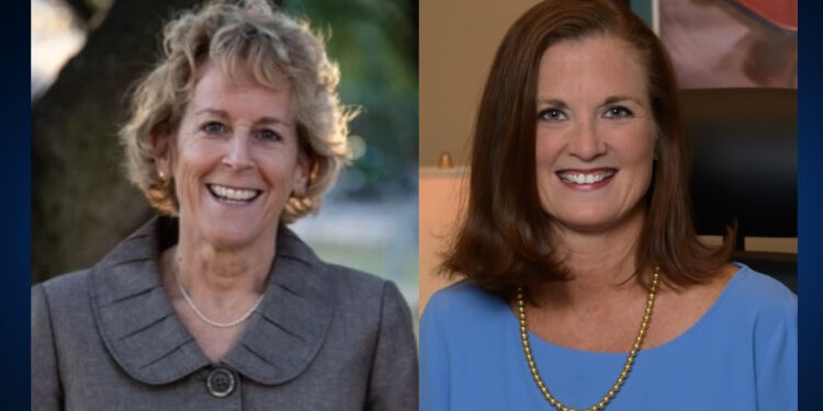 Meet the candidates competing to represent Western Travis County in open Commissioners Court seat