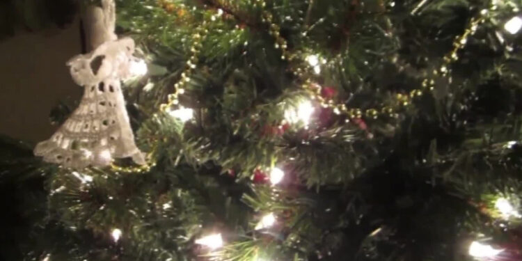 New Buda holiday festivity doubles as a donation for small businesses