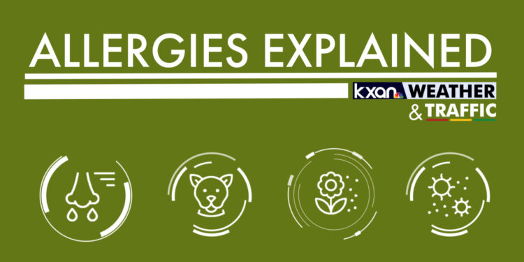 Your guide to allergies in Central Texas