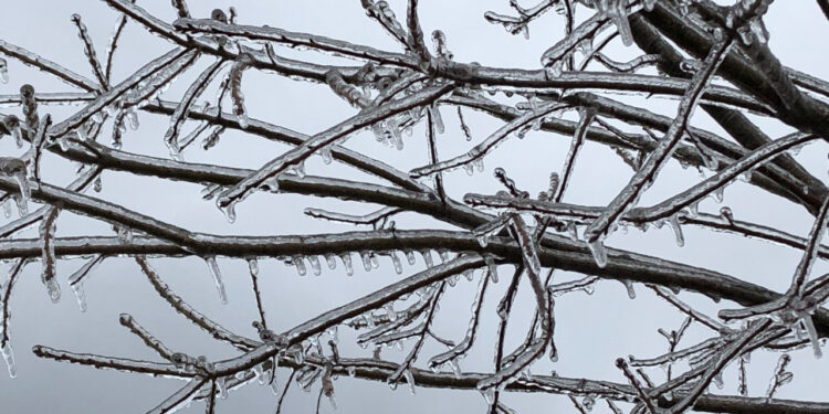 GALLERY: Viewer photos of ice, freezing rain from winter storm Thursday