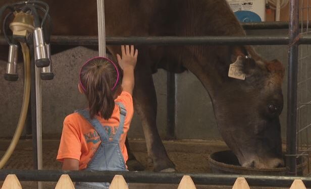 Crowe’s Nest Farm facing challenges as school field trips slow drastically during pandemic