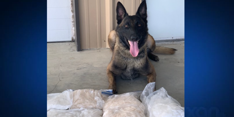 Traffic stop in Fayette County ends with $300K drug bust