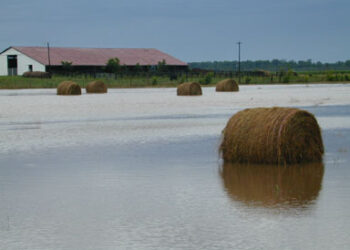 Rains, Wet Conditions Delay Hay Producers
