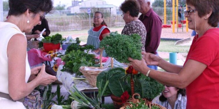New Online Course Provides Guidance For Selling At Farmers Markets