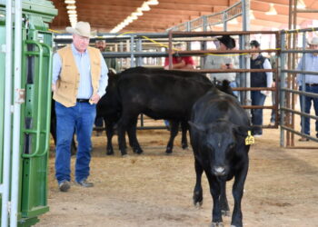 Latest Technology Demonstrations Make Texas A&M Beef Cattle Short Course Unique
