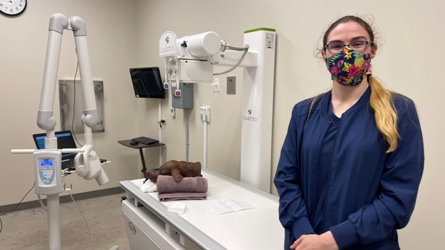 Austin college students care for Texas shelter pets while in school