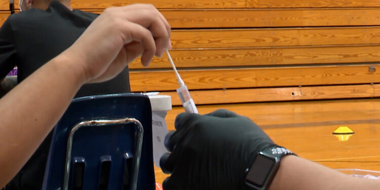 Texas school district wants to curb COVID-19 cases with weekly testing