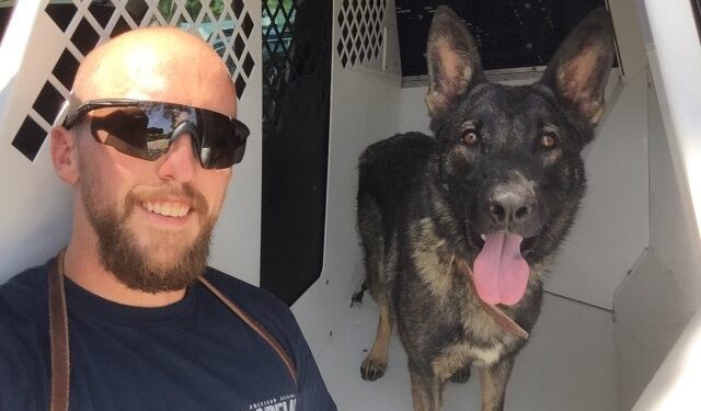 Central Texas K-9 is a fighter after being bitten twice by a rattlesnake