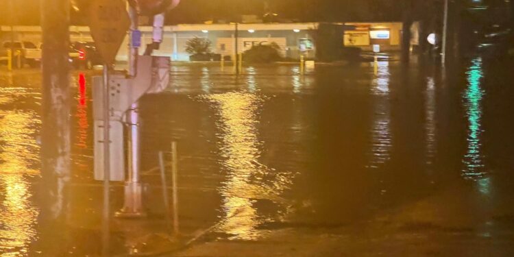 Texas encourages residents to report storm damage after heavy rains