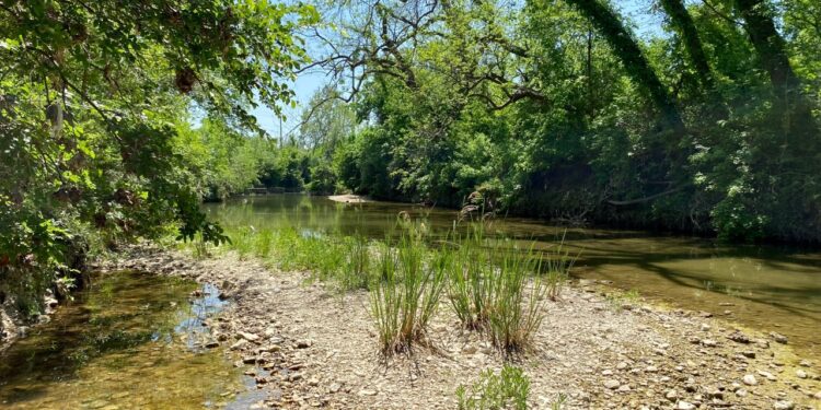 Austin leaders to update plan to protect creeks, communities