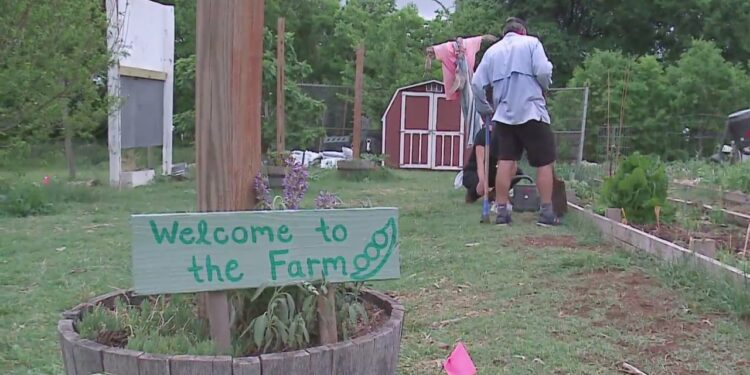 Nonprofit teaches sustainability to Austin students
