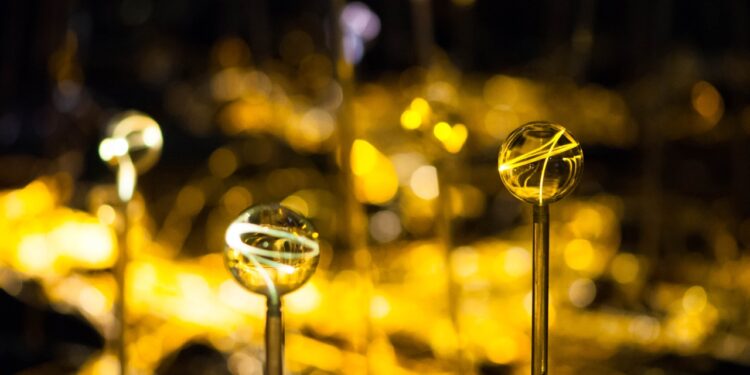 “Field of Light” installation coming to Lady Bird Wildflower Center in Austin