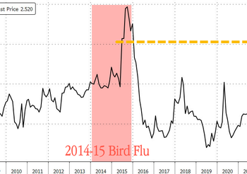 Egg Prices Soar As 10% Of Nation’s Hens Wiped Out By Devastating Bird Flu